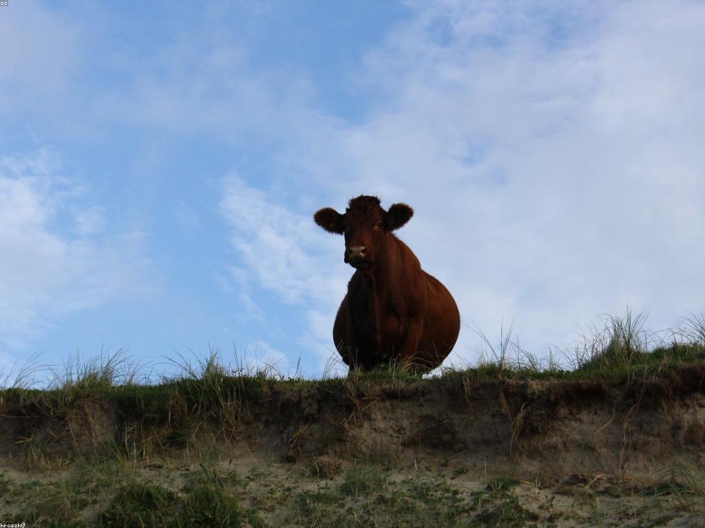 អត្ថប្រយោជន៍នៃការលេងកីឡាស្លប់