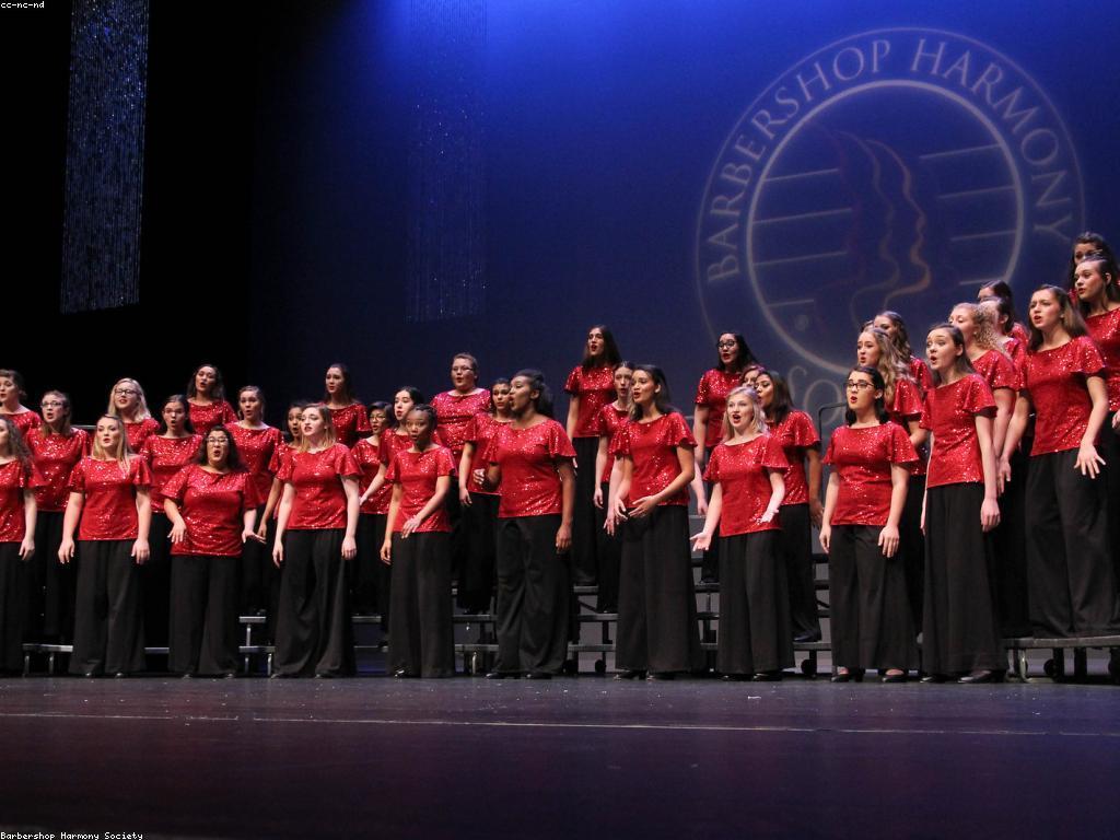 ភាពចម្រុះក្នុងការប្រកួតនានា