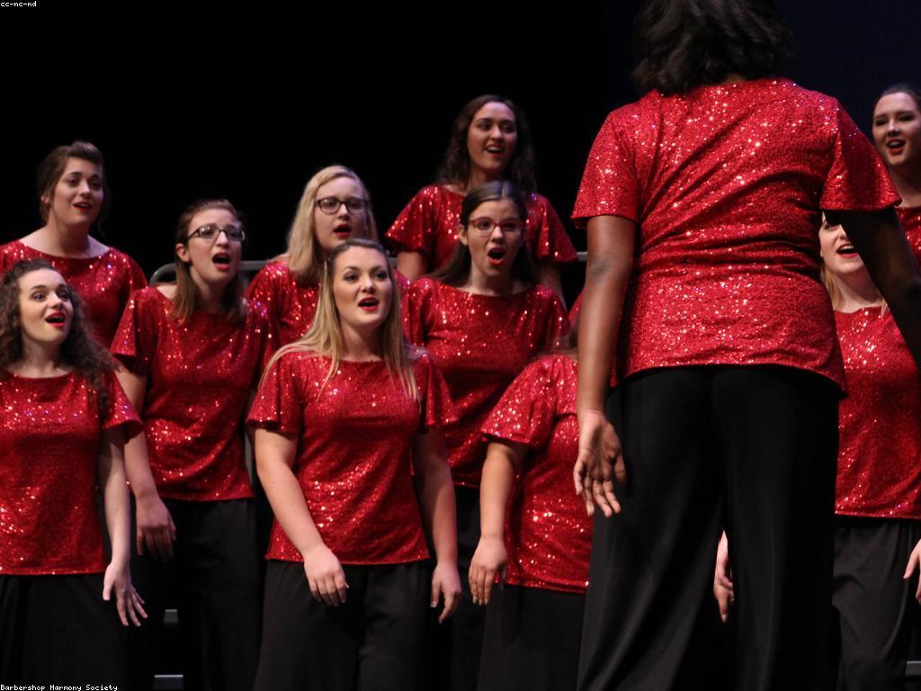 ភាពចម្រុះនៅក្នុងការប្រកួតនានា