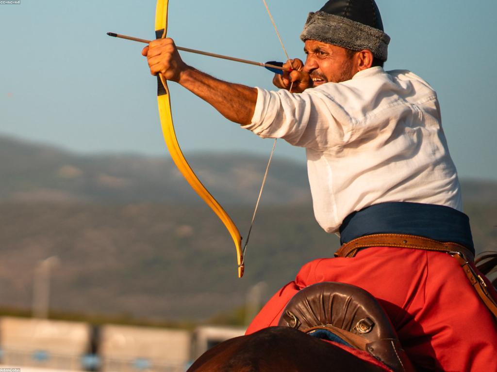 ភាពចម្រុះនៅក្នុងការប្រកួតនានា